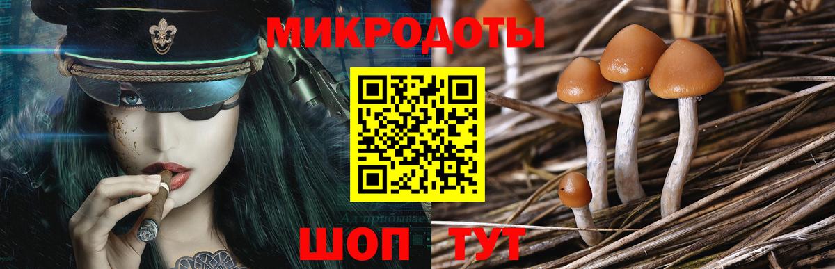 Псилоцибиновые грибы MAGIC MUSHROOMS Гусиноозёрск