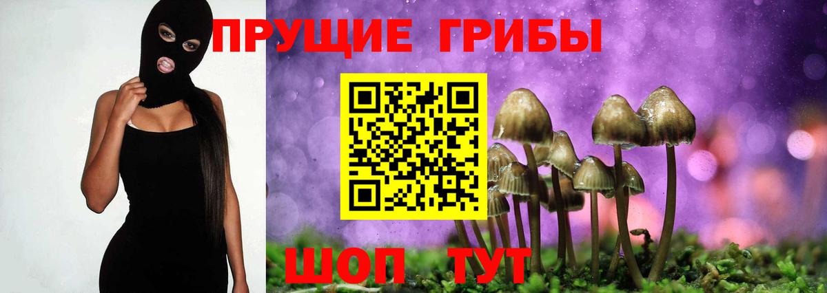 Псилоцибиновые грибы мицелий  Вход с VPN  Галлюциногенные грибы прущие грибы  Гусиноозёрск 